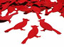 Bird Confetti