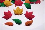 Autumn Leaf Confetti